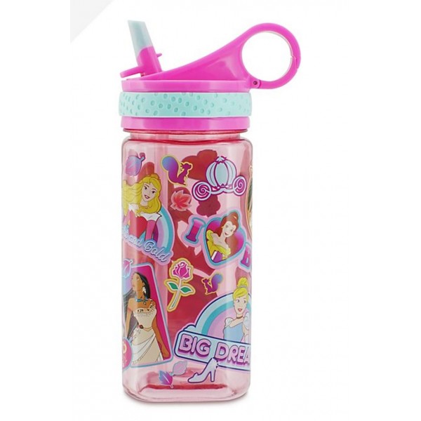Princess Pink Water Bottle - Disney