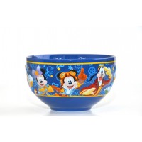 Disneyland Paris 25th Anniversary Bowl